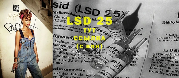 сатива Вязьма