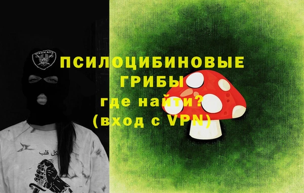 СК Верея