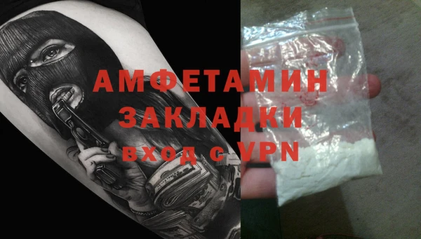сатива Вязьма